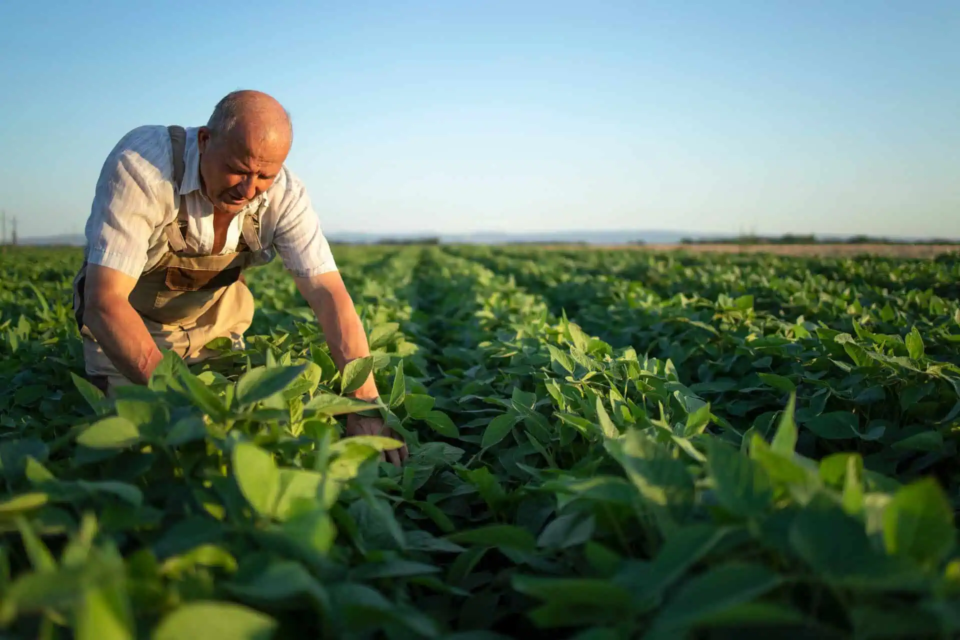 Farm Insurance Illinois